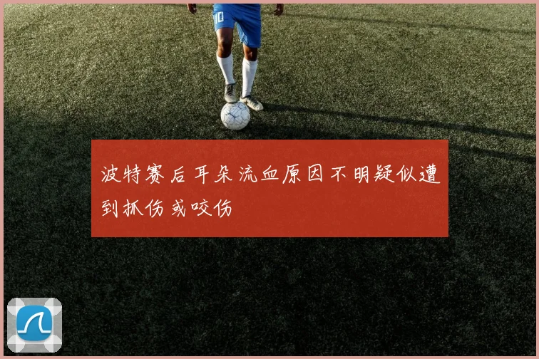 波特赛后耳朵流血原因不明疑似遭到抓伤或咬伤